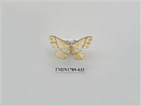 藏品(中國蛾類)的圖片